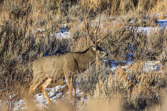 IMG_8916