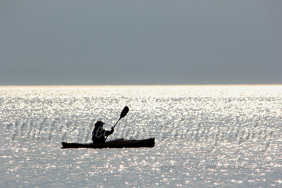 Kayak