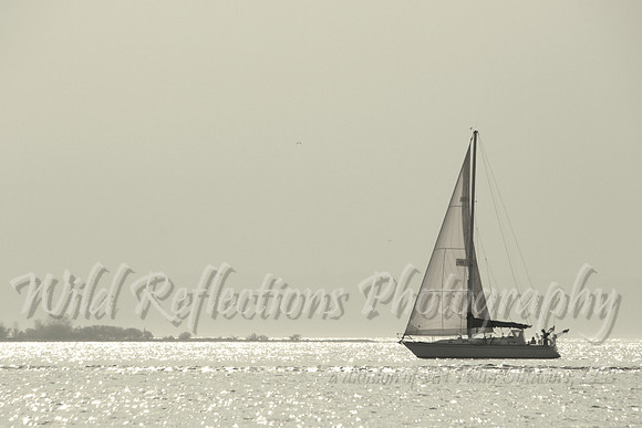 Sailing Lake Michigan