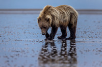 Alaska 2021