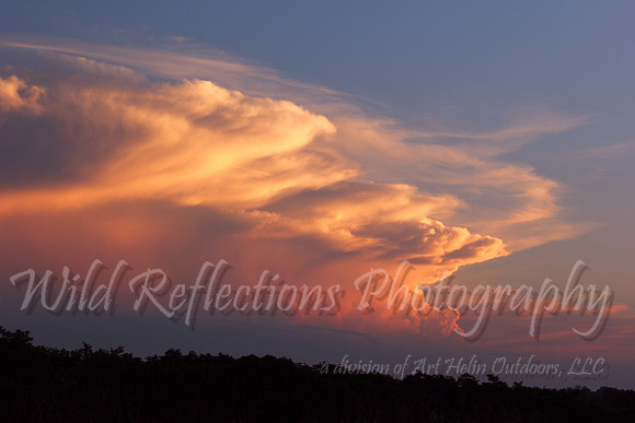 Storm Front