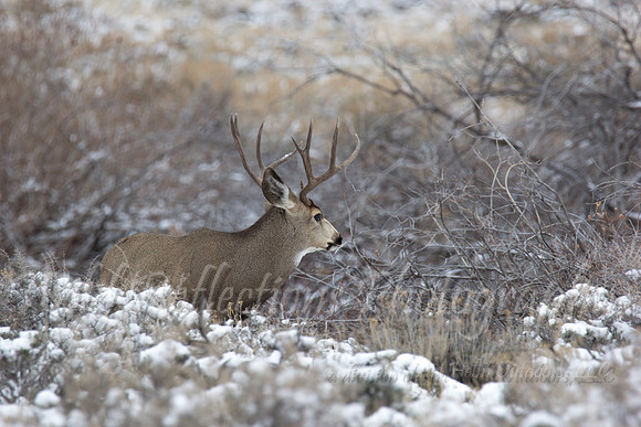 IMG_9560