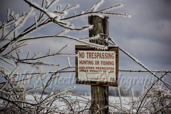 No Hunting