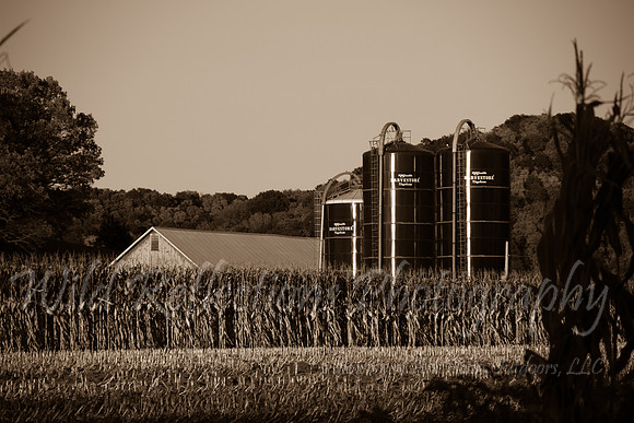 Black and white farm