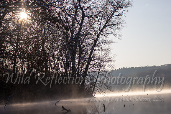 Governor Dodge morning fog